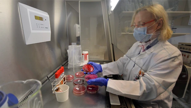 Time running out to solve E. coli outbreak — WHO