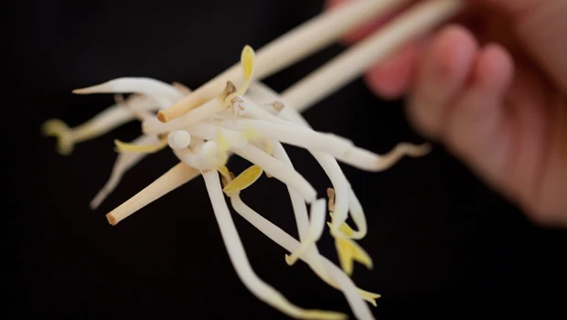 E. coli outbreak blamed on German veggie sprouts