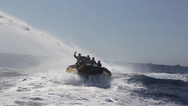 Environmentalists, tuna fishers battle off Libya