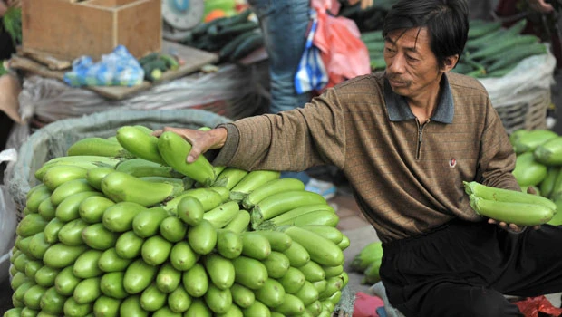 China June trade surplus widens as imports lose steam
