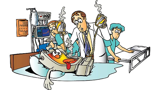 Sick IT syndrome costly and painful