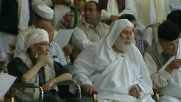 Lockerbie bomber appears at pro-Qaddafi rally
