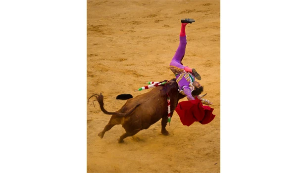 Famed Spanish matador butted to ground in comeback