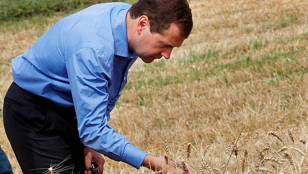 Russia to keep agricultural subsidies after WTO entry
