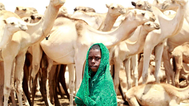 OIC calls on Somali sides to stop fighting