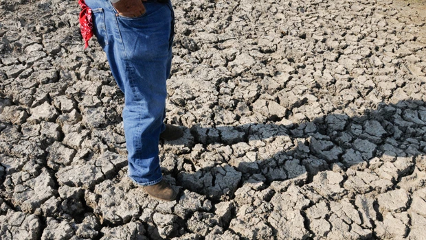 Drought deepens in US South; Texas driest in century