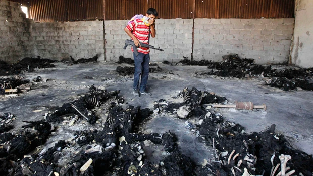 Qaddafi forces killed detainees, says survivor