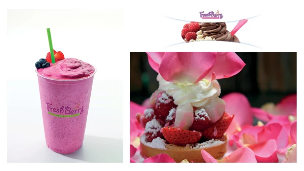 FreshBerry: Let the creative flavors flow!