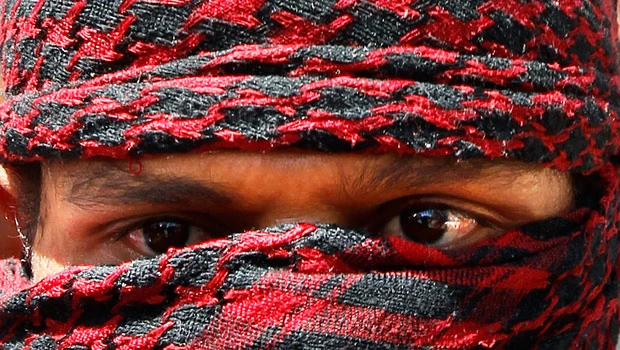 Yemeni tribesmen bring down warplane, capture pilot