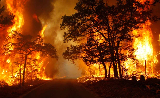 Wildfires sweep across Texas, charring 1,000 homes