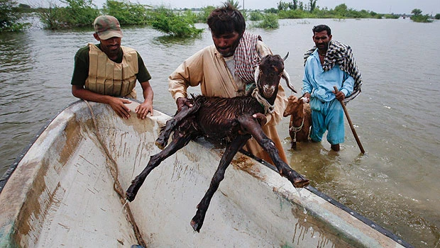 Little comfort to distressed flood victims