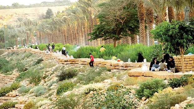 Eco-friendly projects executed