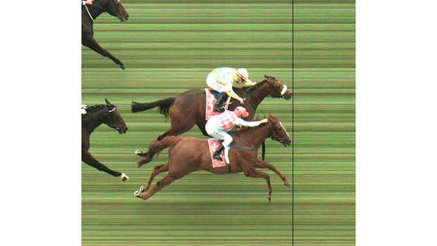 Dunaden wins Melbourne Cup thriller