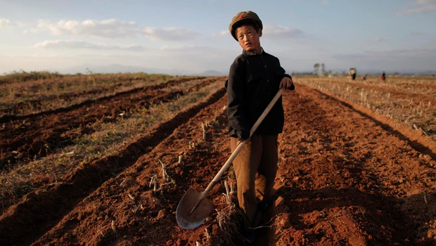 UN: Land, water scarcity threaten food security