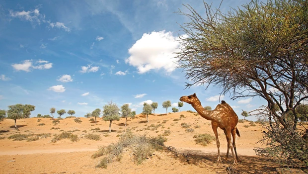 Ras Al-Khaimah: Not your typical Emirate, not your typical weekend