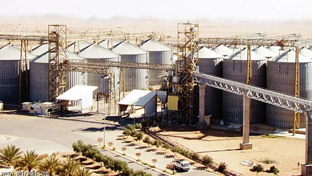 Grain Silos posts SR921.5m surplus