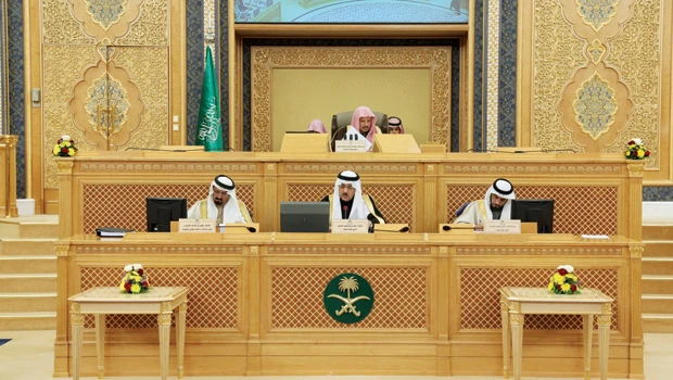 Shoura Council tackles protection from abuse