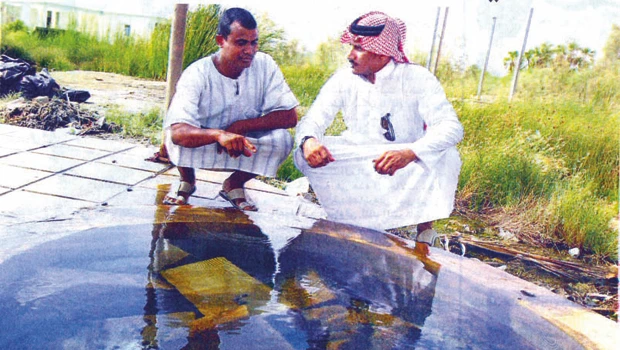 Al-Harrah should ‘spring’ a surprise for Saudi tourism