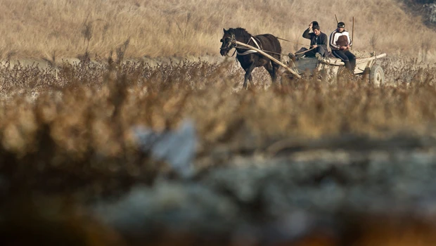 Unusual drought triggers alarm across Balkans
