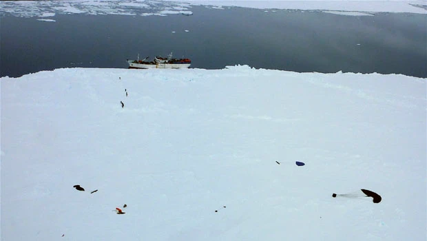Repairs to stricken boat in Antarctica going well
