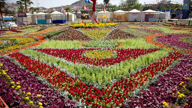 Taif: A city of roses with unique fragrance