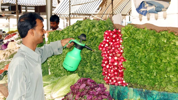Kingdom begins procedures to stop export of vegetables