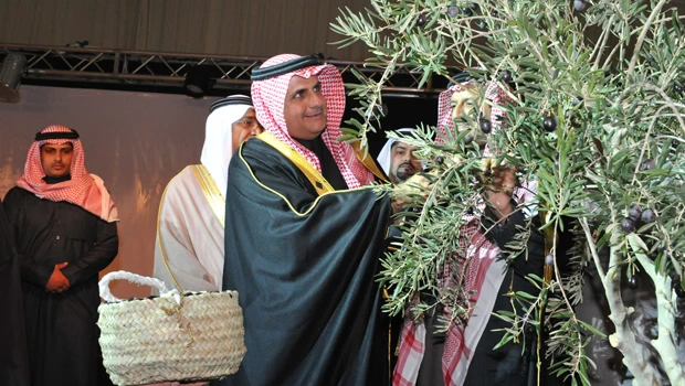 Al-Jouf's olive festival begins
