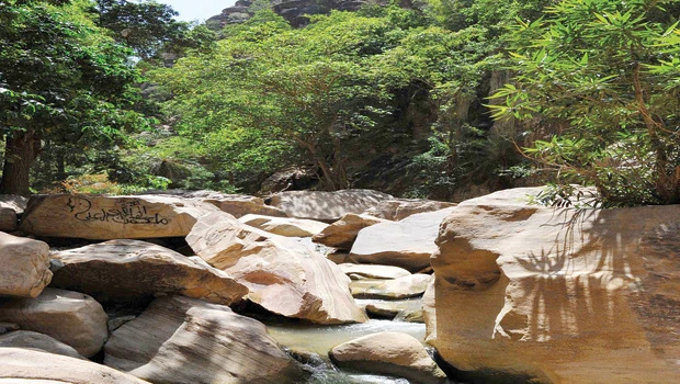Wadi Lajab: An enchanting tourist resort in Jazan