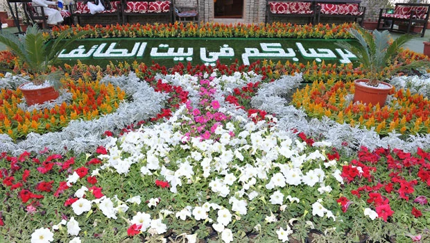 Rose ‘carpet’ a major attraction at Janadriyah