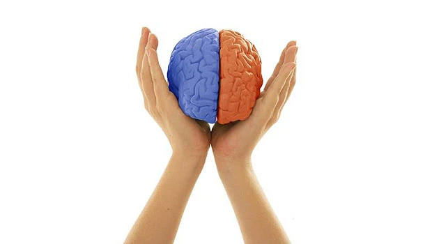 The Plastic Brain (Part 3)