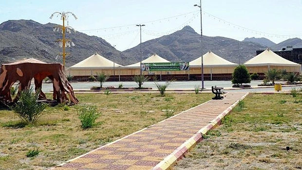 Have Saudi antiques? Register with SCTA