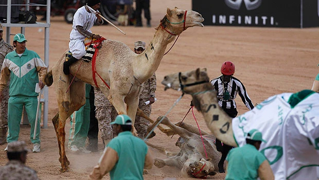 Janadriyah festivities in full swing