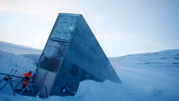 Syria crops sheltered in Arctic doomsday vault