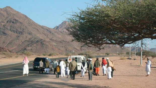 Picturesque Wadi Al-Baida attracts Madinah visitors