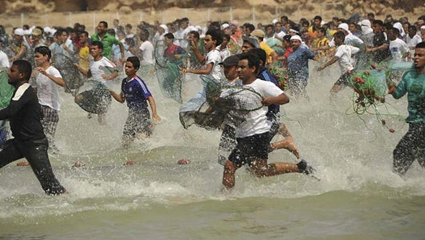 Jazan fish fest gets under way