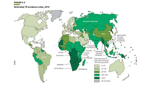 Tuberculosis on the rise