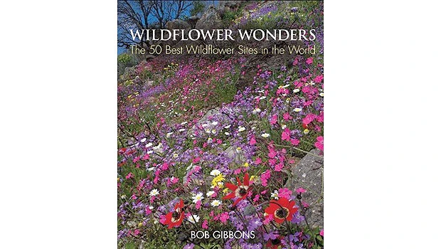 Book Review: 'Wildflower Wonders' is a feast to the eyes