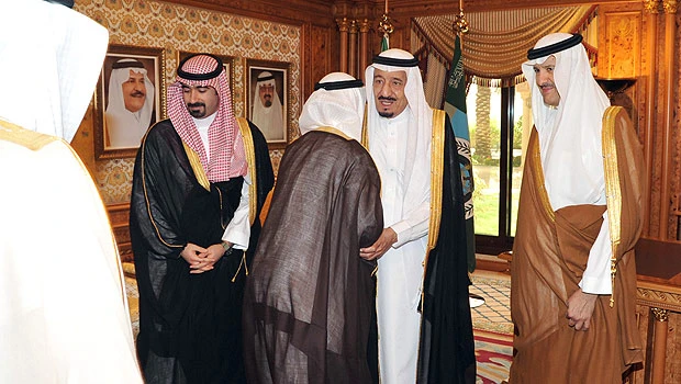 Science oasis aims to promote knowledge