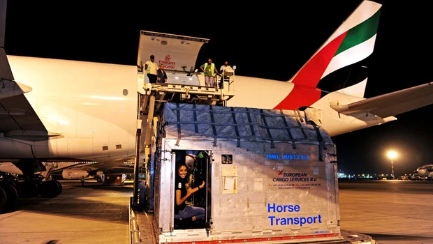 Emirates SkyCargo in the saddle with record horse shipment