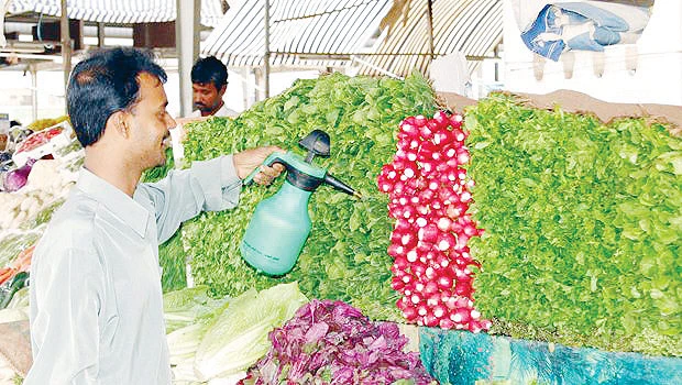 Syrian crisis ups veggie prices