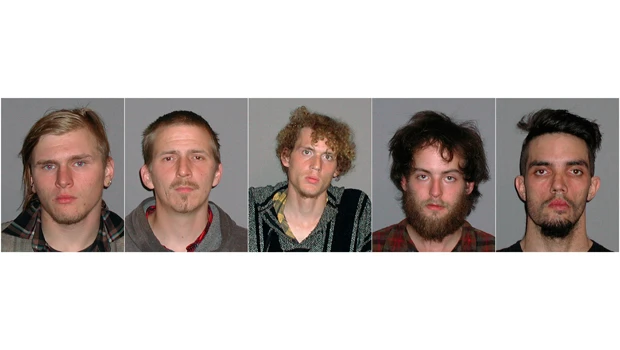 Five arrested in US plot to blow up bridge
