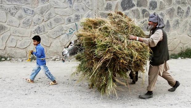 As foreign troops leave, Afghan refugees and poverty increase