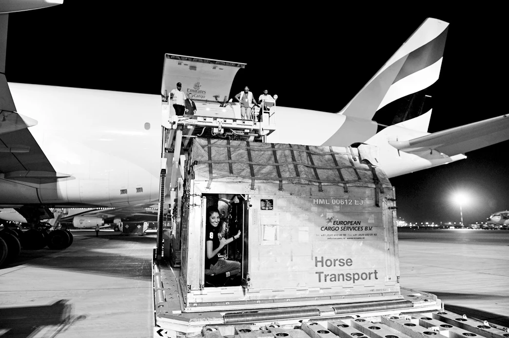 Emirates SkyCargo in the saddle with record horse shipment
