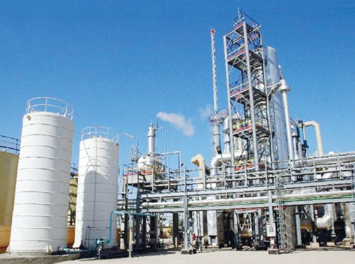 Ma’aden achieved quantum leap in developing mining industry