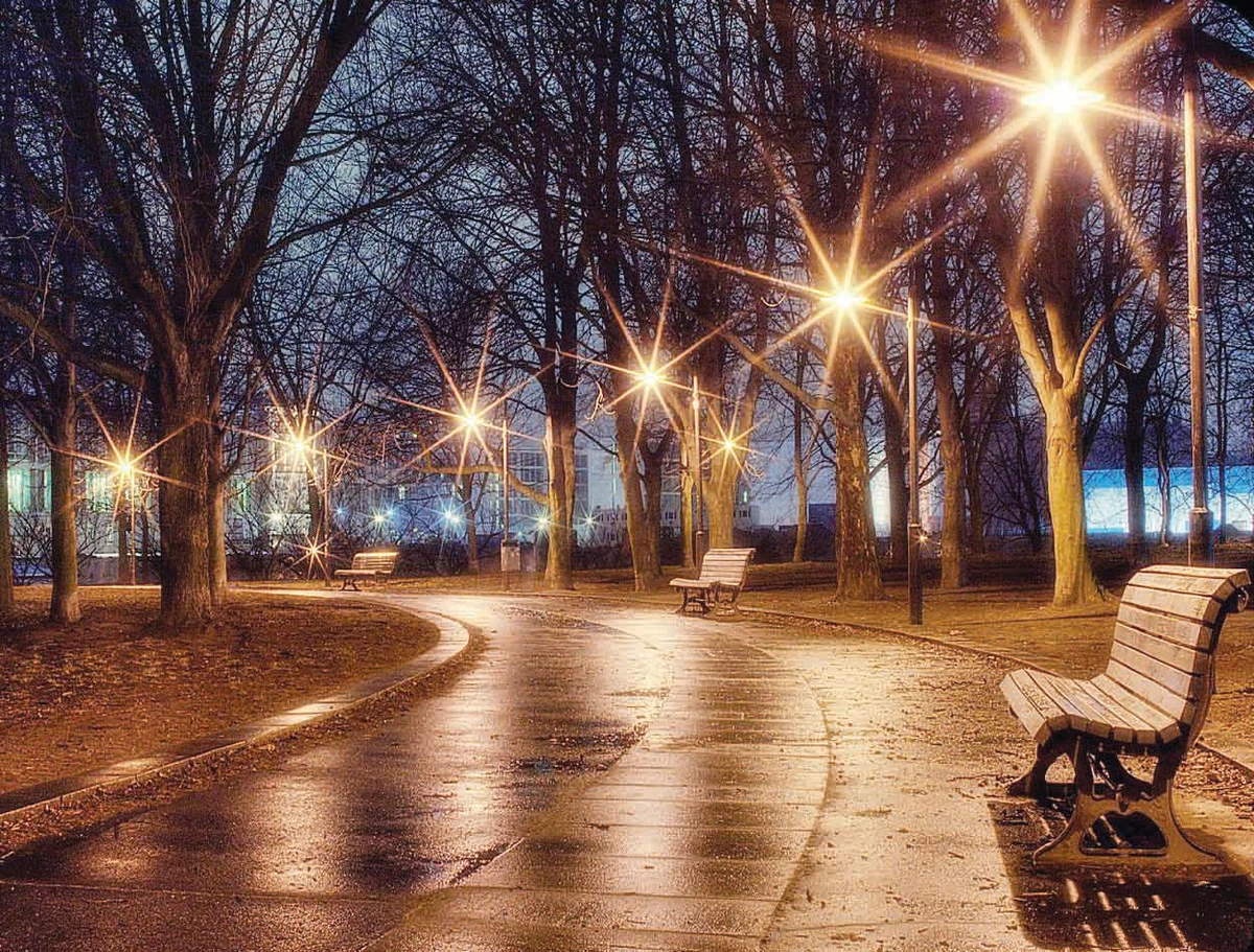 Streetlights changing ecology on the ground