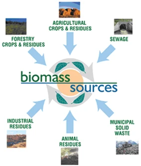 UK bets on biomass in move away from coal