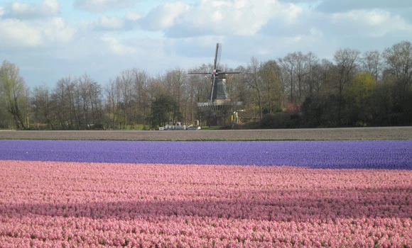 Embrace the spring in the Garden of Europe