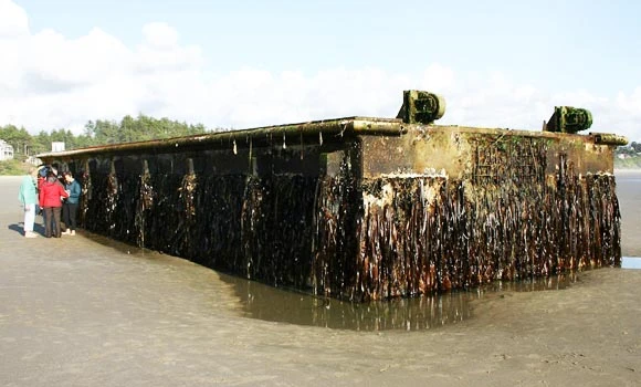 Japan tsunami dock washes up on Oregon beach