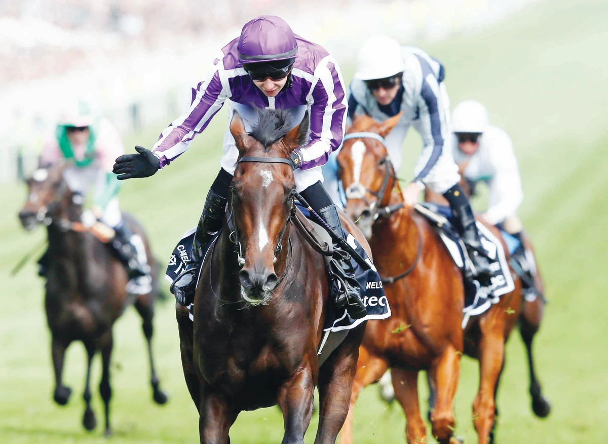 Camelot gallops to historic Derby victory