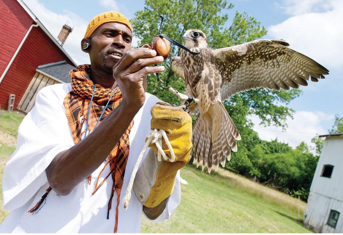 Falcons, and their handler, inspire US youth